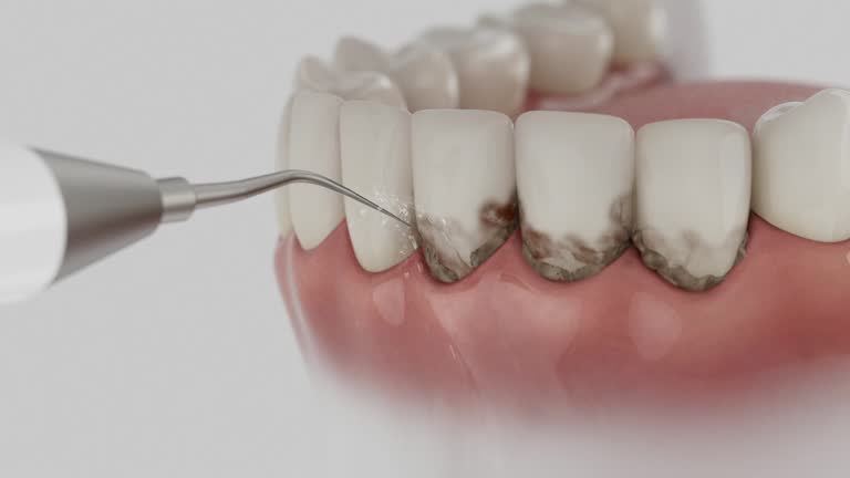 Reliable Dental contractor in Somers, MT by Dentist Open Now